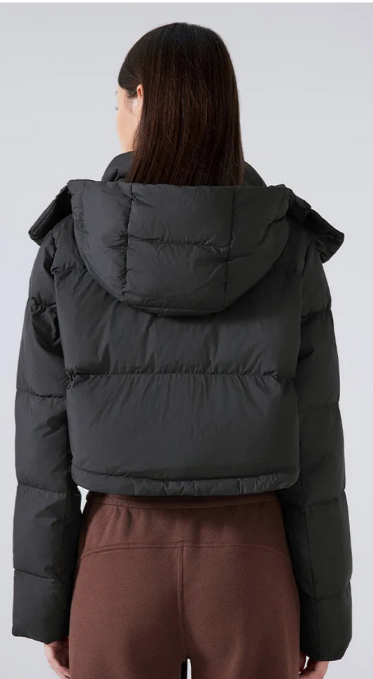 Astra Jacket
